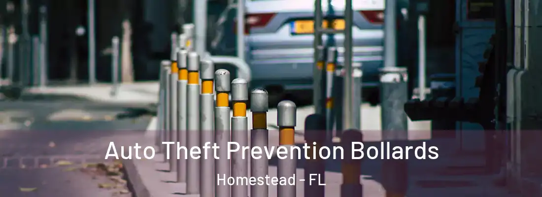  Auto Theft Prevention Bollards Homestead - FL