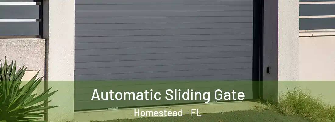  Automatic Sliding Gate Homestead - FL