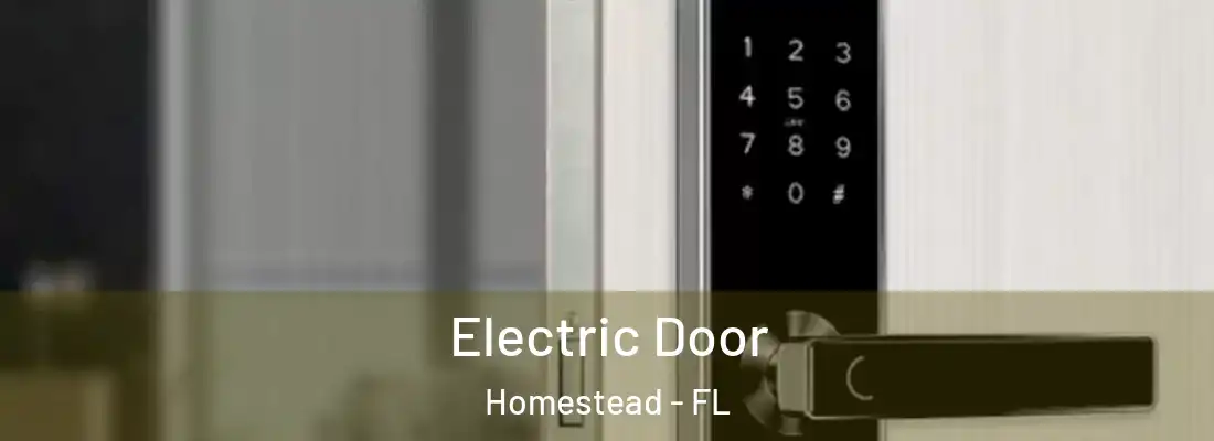 Electric Door Homestead - FL