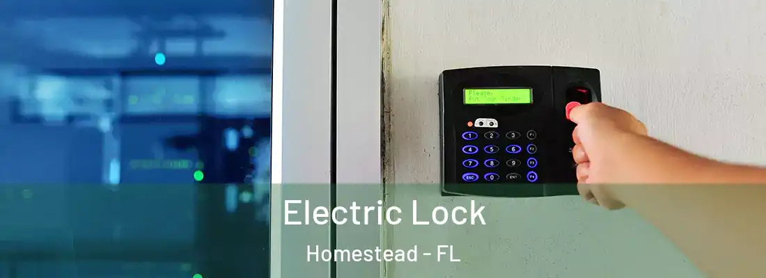  Electric Lock Homestead - FL