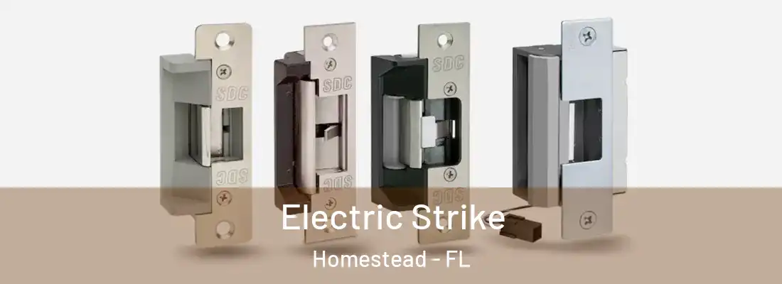 Electric Strike Homestead - FL