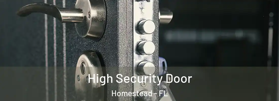 High Security Door Homestead - FL