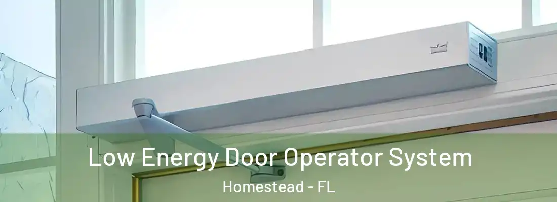 Low Energy Door Operator System Homestead - FL