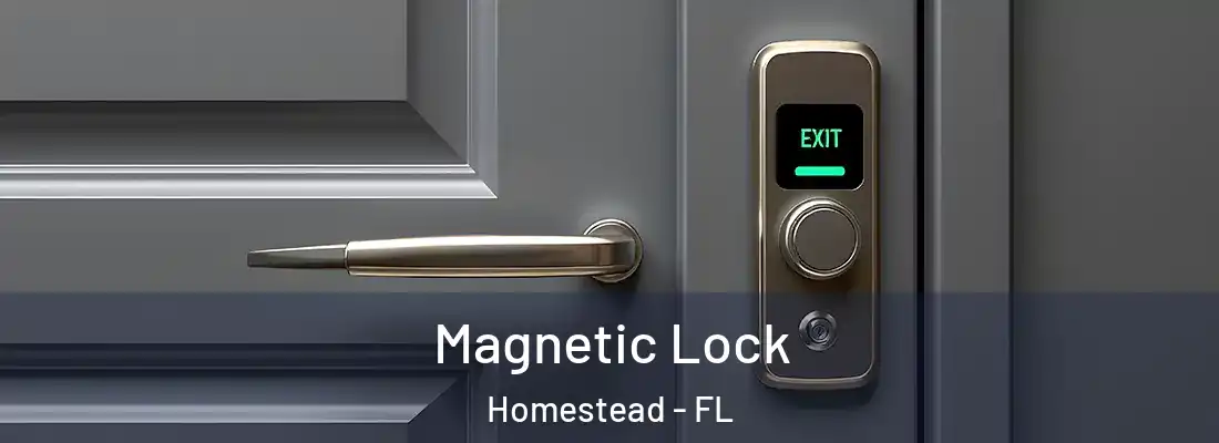  Magnetic Lock Homestead - FL