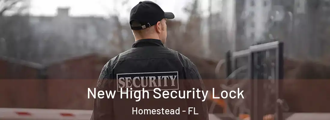  New High Security Lock Homestead - FL