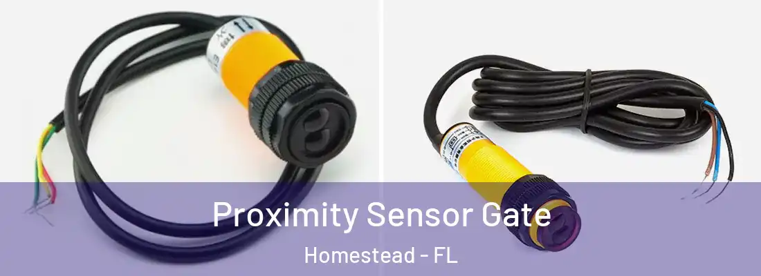 Proximity Sensor Gate Homestead - FL